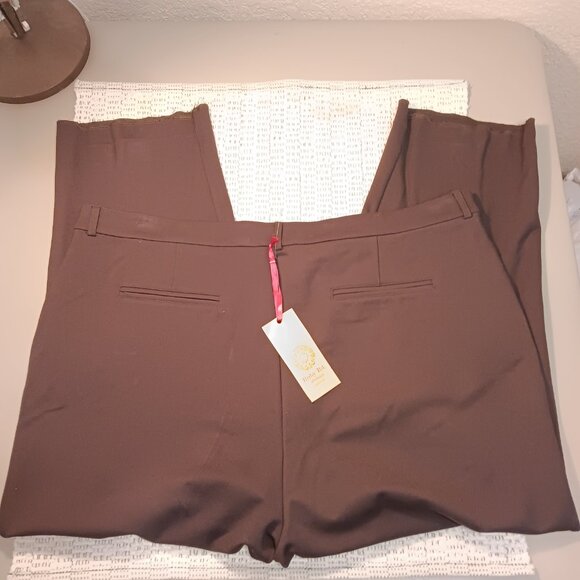 Ruby Rd. women's plus size brown flat front dress pants sz 22W - READ! - Picture 3 of 10